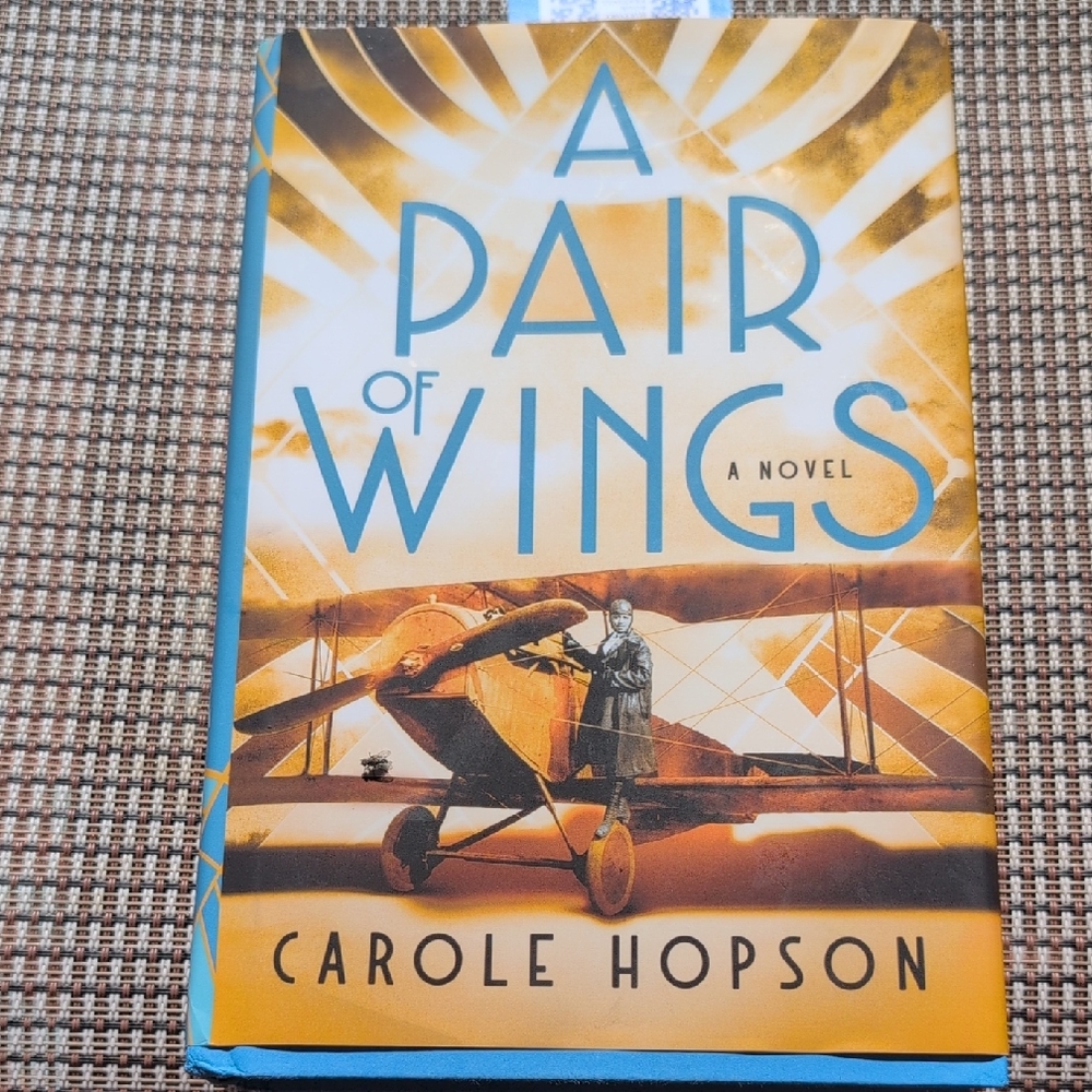 A Pair of Wings Novel by - Blue and Gold Cover